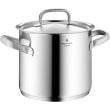 WMF Gourmet Plus Stockpot 24 cm with lid