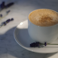Vier winterliche Kaffeespezialitäten für die WMF Perfection